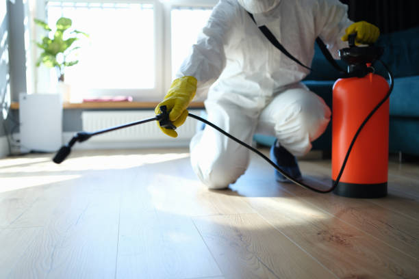 Reliable Odor Removal contractor in Chester, IL by Trauma Clean Pros